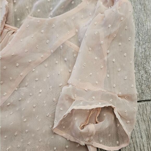 Daniel Rainn Light Pink Sheer Clip Dot Short Sleeve Blouse Size S - Picture 4 of 7